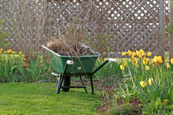 Flower Bed Cleanup Service in Mill Valley