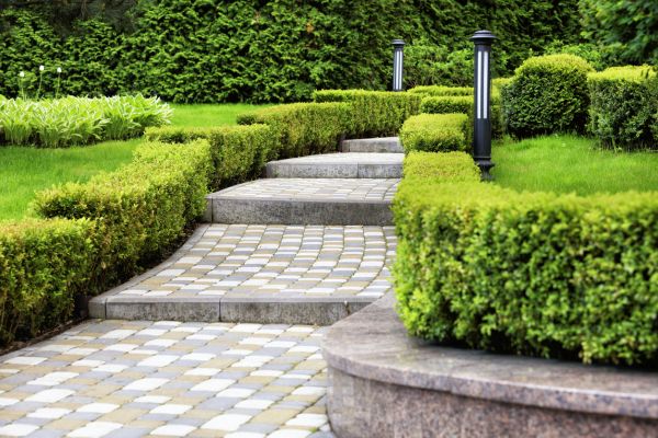 Backyard Remodeling in Mill Valley