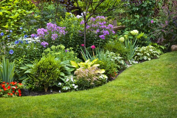 Flower Bed Service in Mill Valley