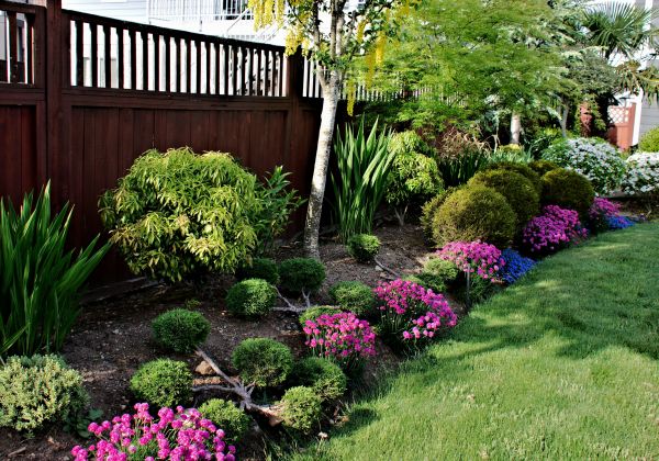 Garden Care Service in Mill Valley