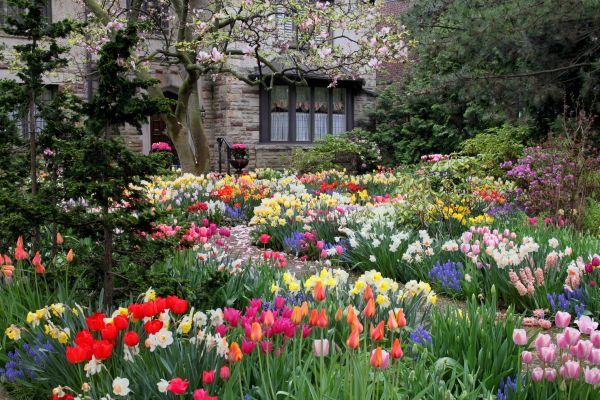 Garden Maintenance Service in Mill Valley