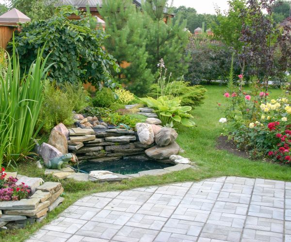 Landscaping Design Service in Mill Valley