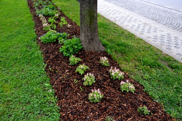 Mulch Replacement Service in Mill Valley
