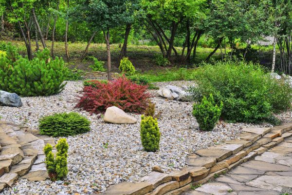 Rock Landscaping in Mill Valley