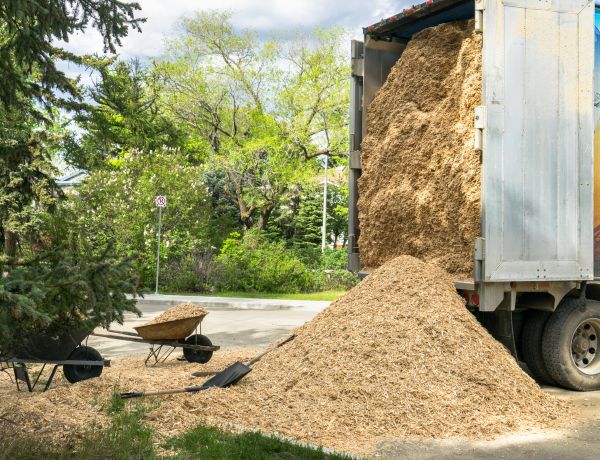 Wood Chips Delivery in Mill Valley
