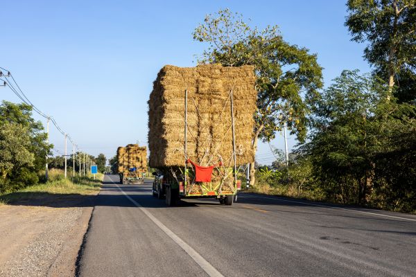 Pine Straw Delivery in Mill Valley