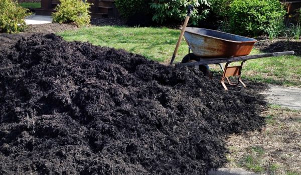 Black Mulch Delivery in Mill Valley