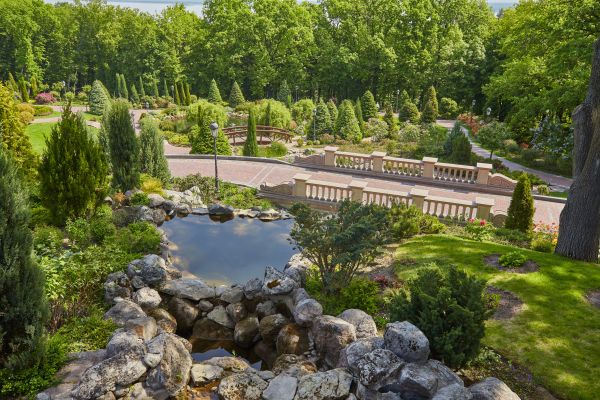 Landscape Architecture Service in Mill Valley