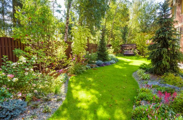 Residential Landscape Service in Mill Valley