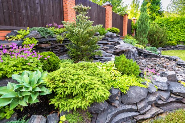 Landscape Remodeling in Mill Valley