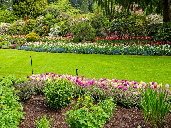 Residential Landscape Design in Mill Valley