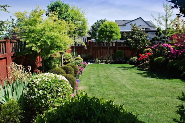 Lawn And Garden Installation in Mill Valley