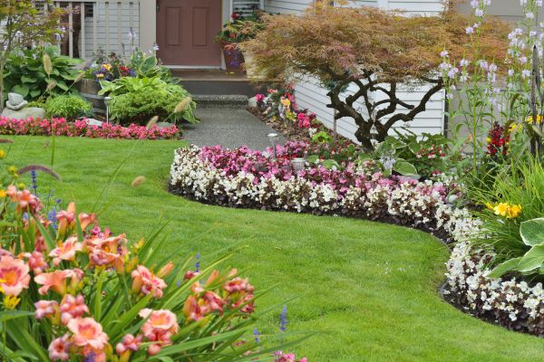 Perennial Landscaping in Mill Valley