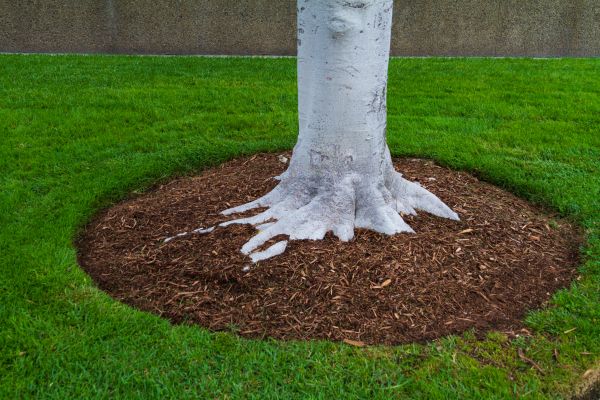 Brown Mulch Installation in Mill Valley