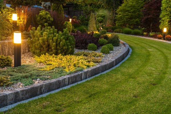 Garden Repair Service in Mill Valley