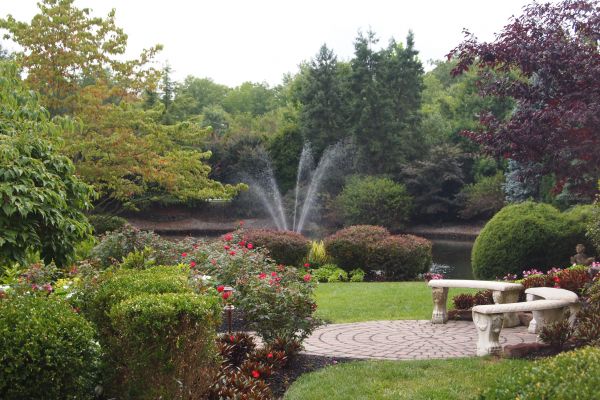 Courtyard Design Service in Mill Valley