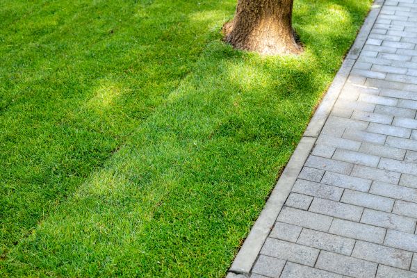 Border Stone Installation in Mill Valley