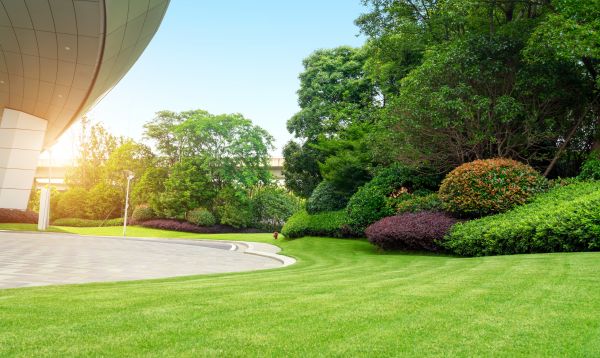 Business Landscape Design in Mill Valley