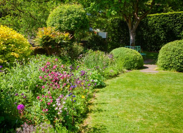 Yard Landscaping Service in Mill Valley