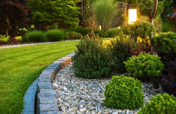 Landscaping Service in Mill Valley