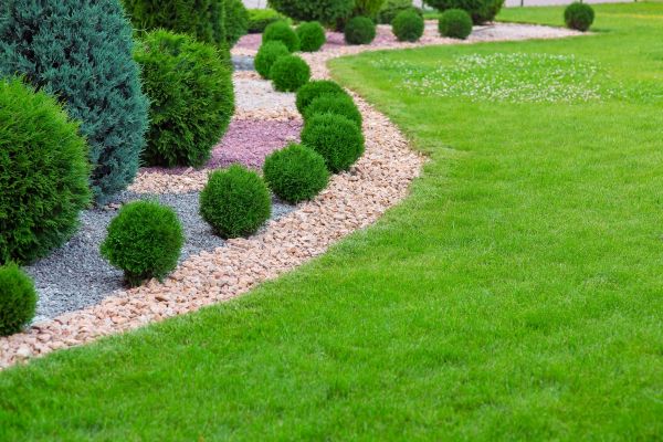 Edging Stones Installation in Mill Valley