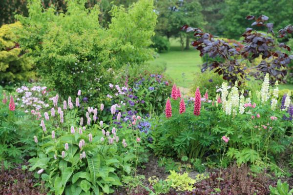 Flower Bed Planting in Mill Valley