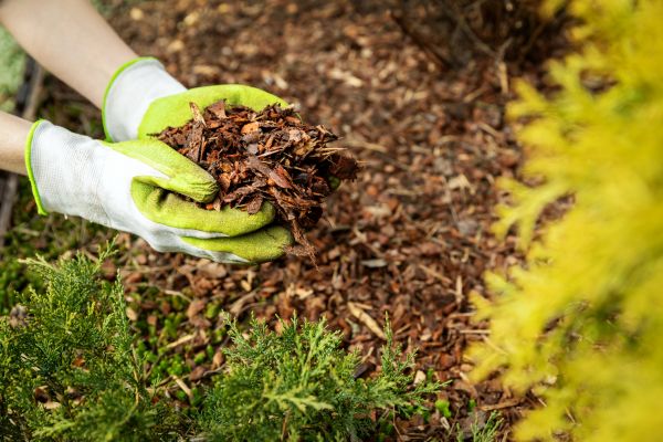 Garden Mulch Delivery in Mill Valley
