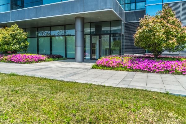 Office Landscaping Design in Mill Valley