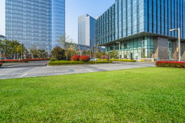 Industrial Landscaping Service in Mill Valley