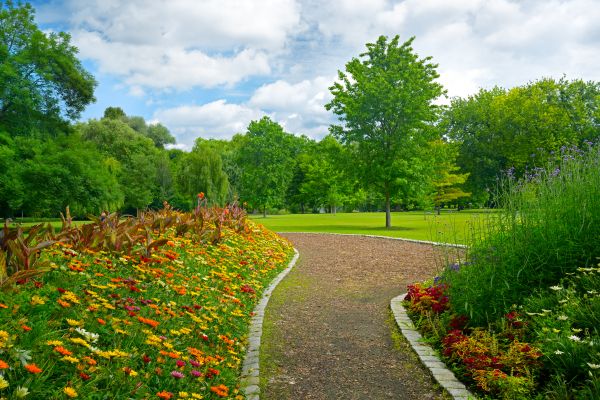 Park Landscaping in Mill Valley
