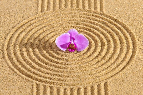 Sand Garden Landscaping in Mill Valley