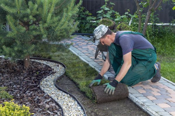 Landscaping Modification in Mill Valley