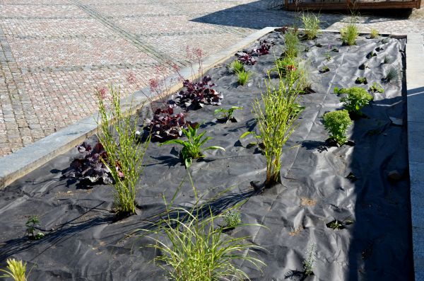 Landscape Fabric Installation in Mill Valley