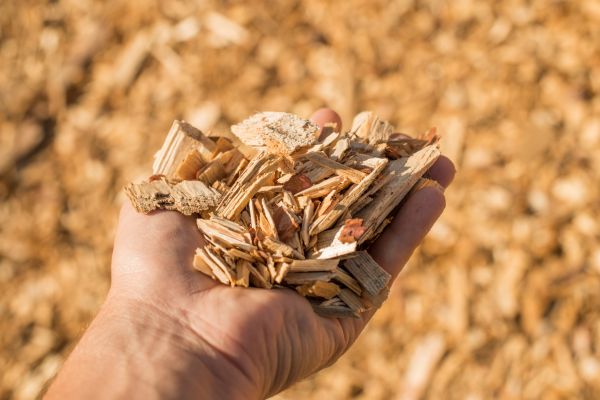 Wood Chips Spreading in Mill Valley