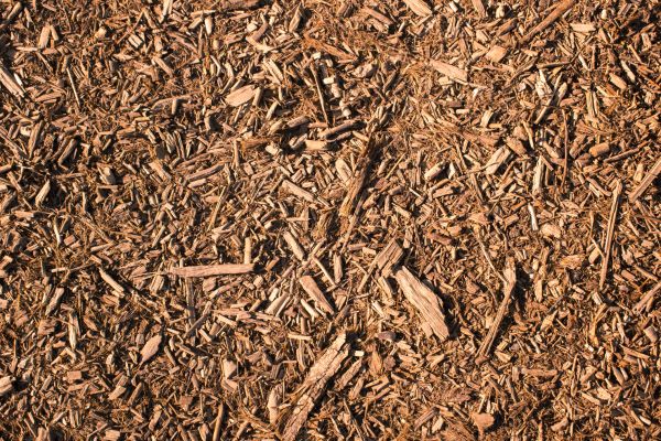 Wood Chips Removal in Mill Valley
