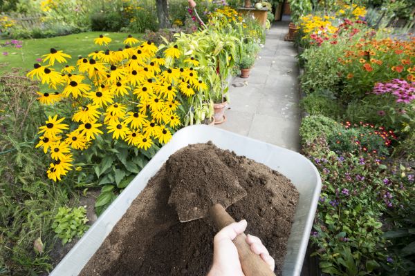 Topsoil Replacement in Mill Valley
