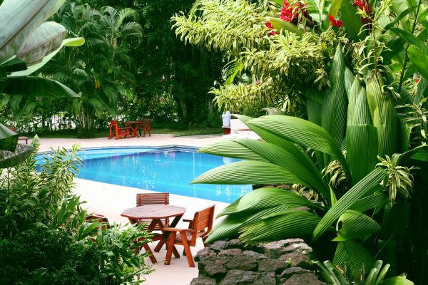 Pool Area Landscaping in Mill Valley