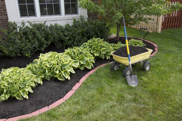 Landscape Mulching in Mill Valley