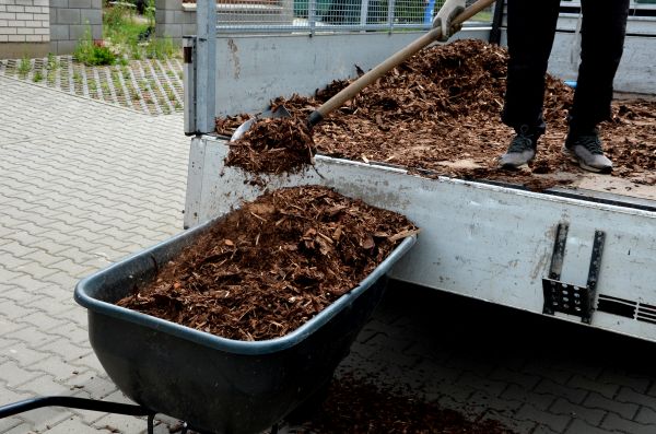 Cedar Mulch Delivery in Mill Valley