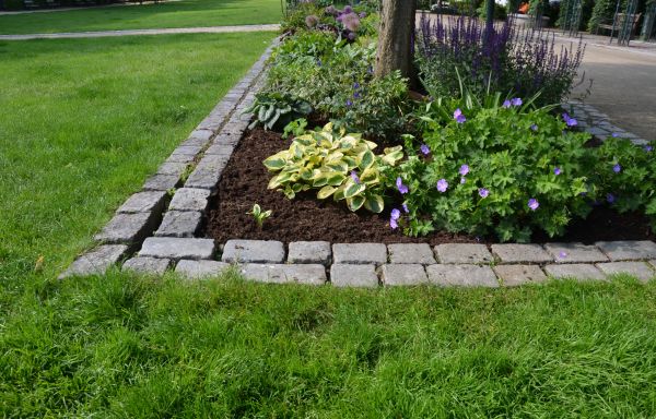 Flower Bed Mulching in Mill Valley