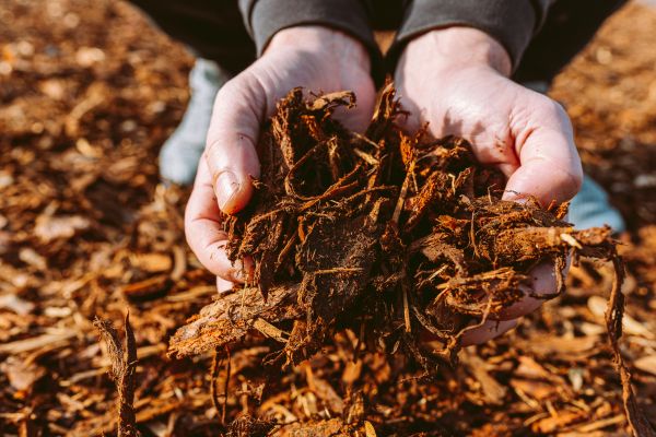 Bark Chips Delivery in Mill Valley