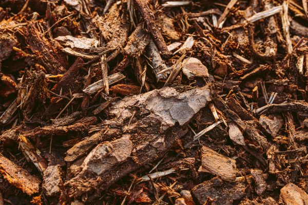 Bark Mulch Delivery in Mill Valley