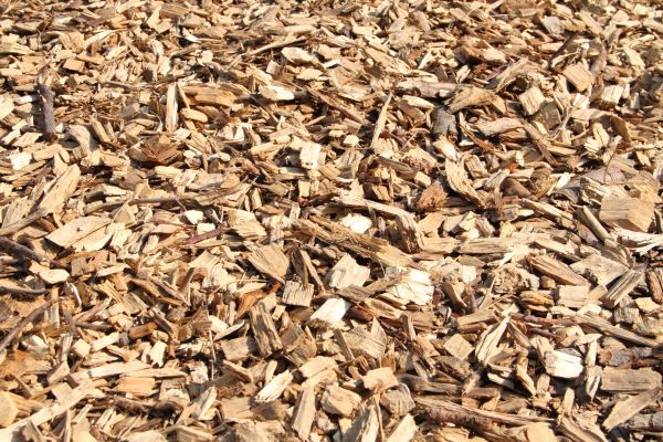 Wood Mulch Delivery in Mill Valley