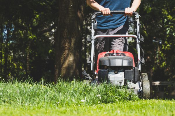 Garden Trimming Service in Mill Valley