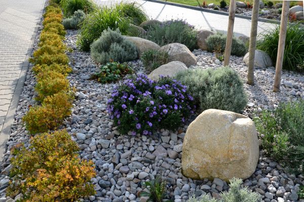 Decorative Rock Installation in Mill Valley