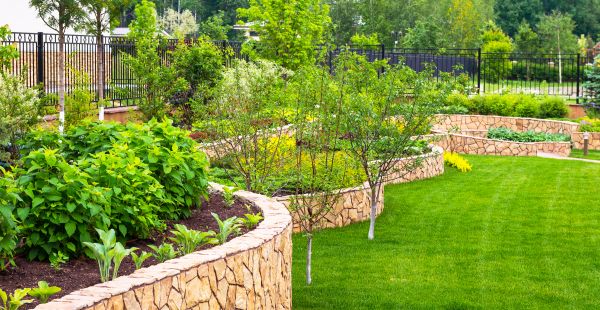 Yard Makeover Service in Mill Valley