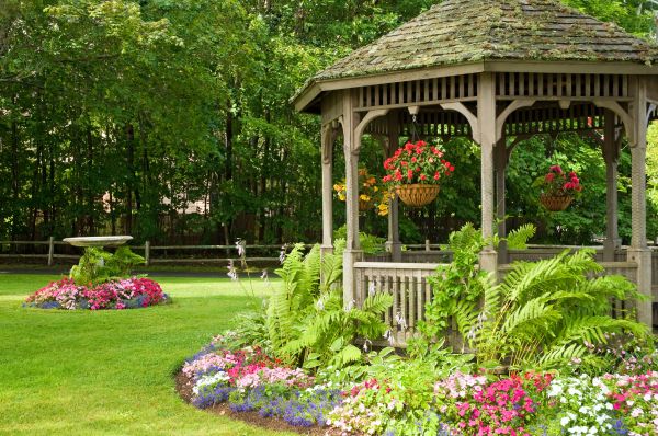 Backyard Landscaping Service in Mill Valley
