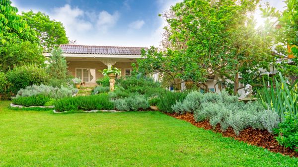Greenery Planting in Mill Valley
