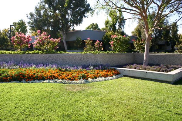 Commercial Landscape Service in Mill Valley