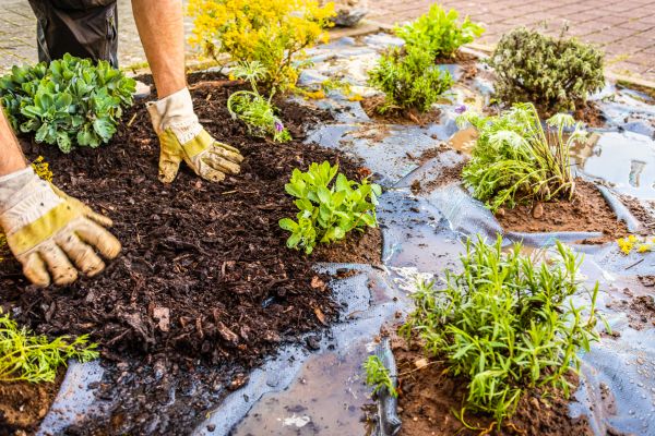 Mulch Fabric Installation in Mill Valley